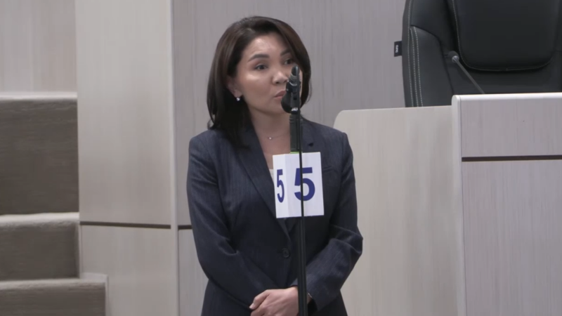 Элвира Сурабалдиева: Бул трибуна таарыныч, арыз-муңдарды айта турган жер эмес