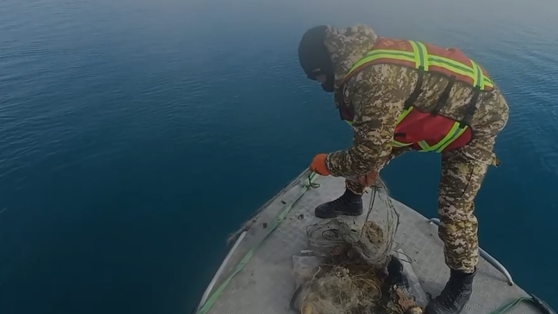 Ысык-Көлдү торлордон тазалоо уланууда. Бул иштер президенттин жеке көзөмөлүндө