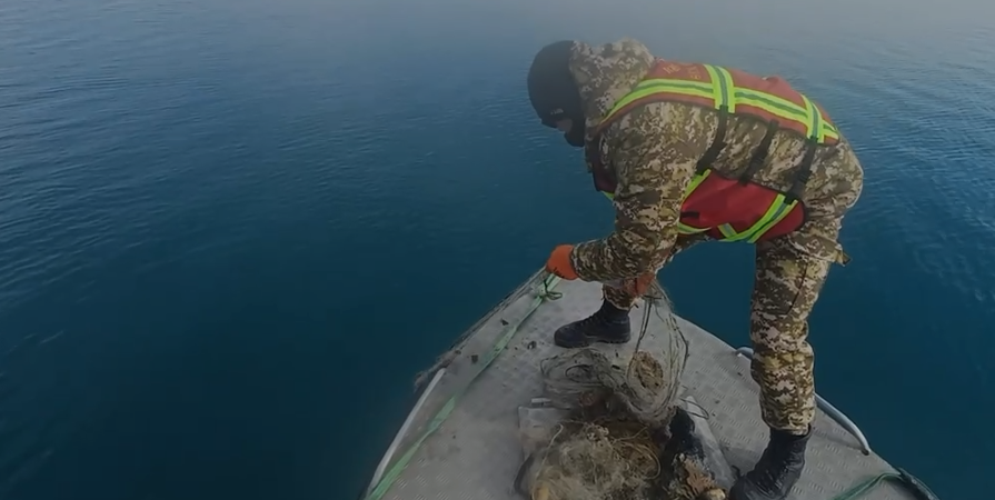 Ысык-Көлдү торлордон тазалоо уланууда. Бул иштер президенттин жеке көзөмөлүндө