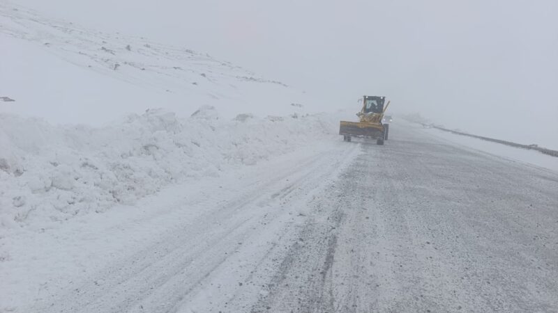 Ашууларда абал кандай?