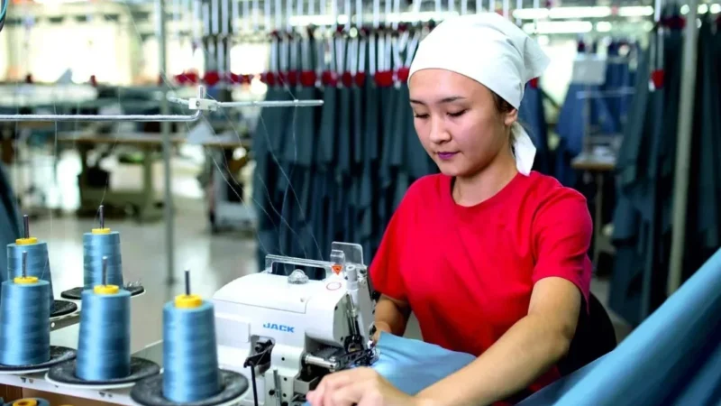 Тигүү тармагына 1,5 млрд сомго жакын жеңилдетилген насыя берилди