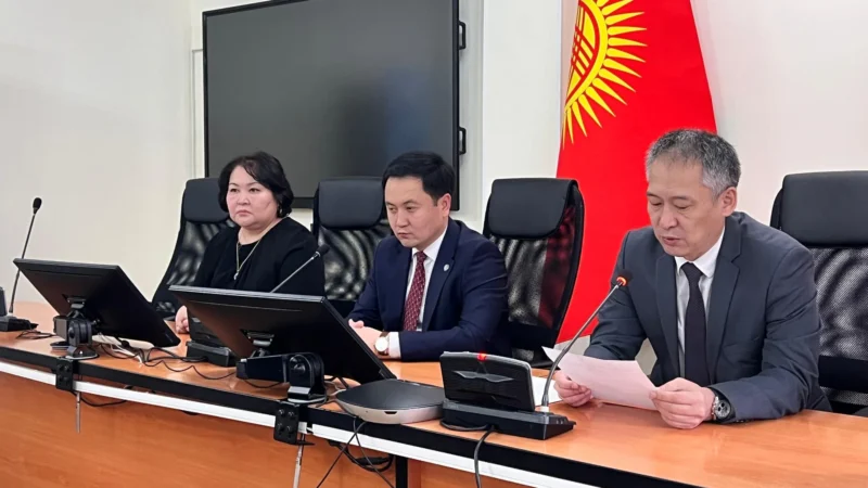 Гулбара Ишенапысова саламаттык сактоо министринин орун басары болду