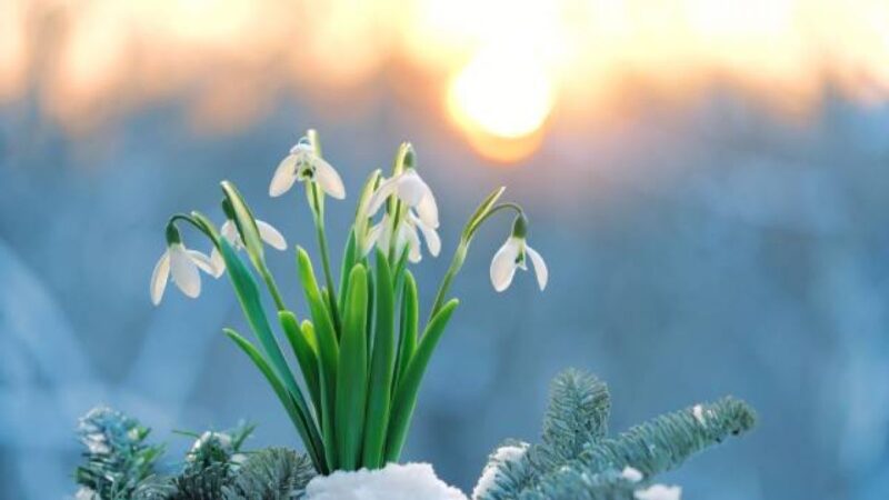 12-мартка карата өлкөдө күтүлгөн аба ырайы