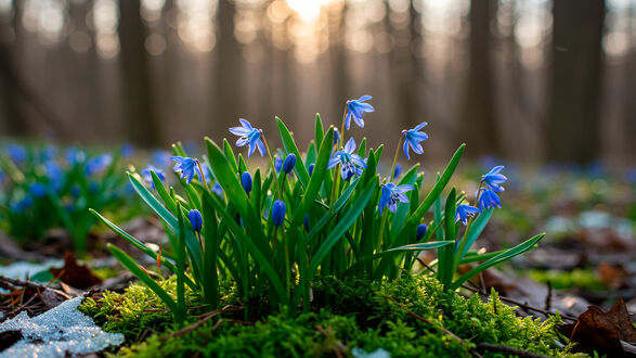 Кутман таң, окурманым! Иш күнүңүздөр ийгиликтүү өтсүн!