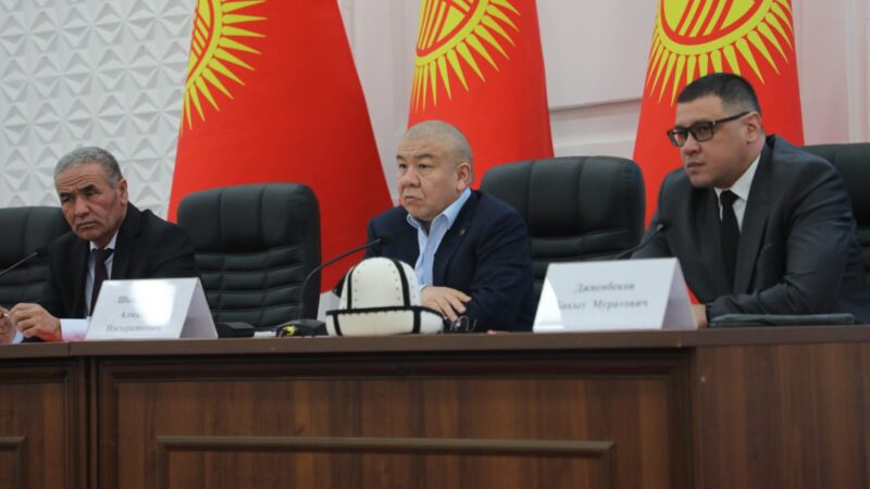 Алмамбет Шыкмаматов Баткен облусундагы салык төлөөчүлөр менен жолугушту