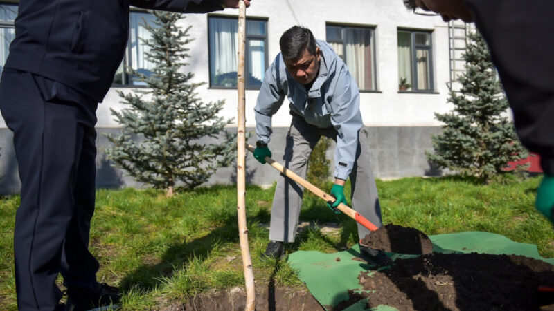 Айбек Джунушалиев мектептердин айланасын жашылдандырууну күчөтүүнү тапшырды