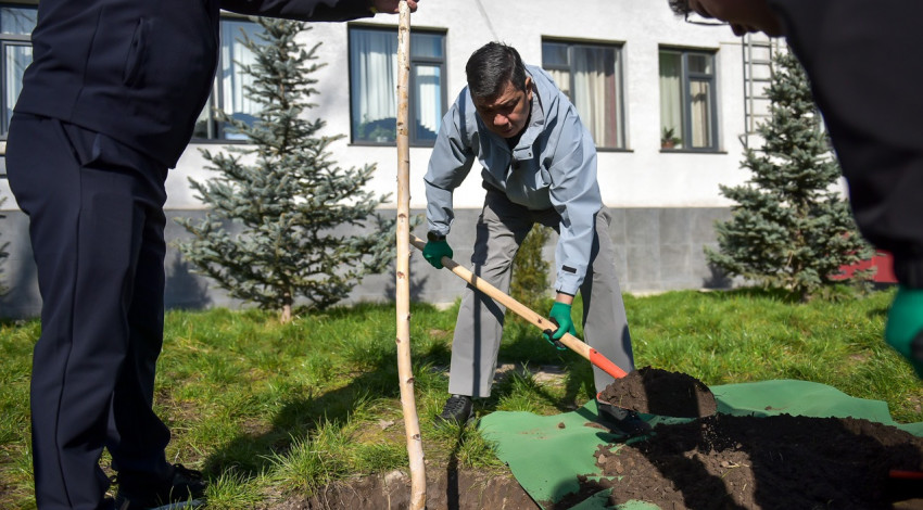Айбек Джунушалиев мектептердин айланасын жашылдандырууну күчөтүүнү тапшырды