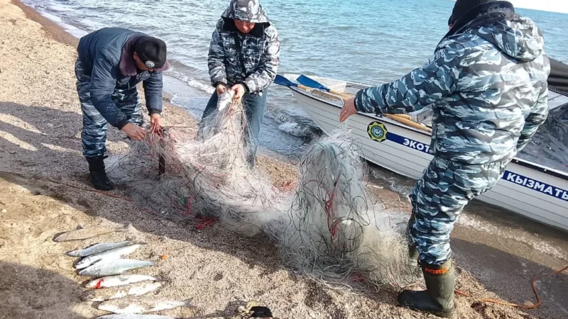 Тоң районунда мыйзамсыз торлор тазаланууда