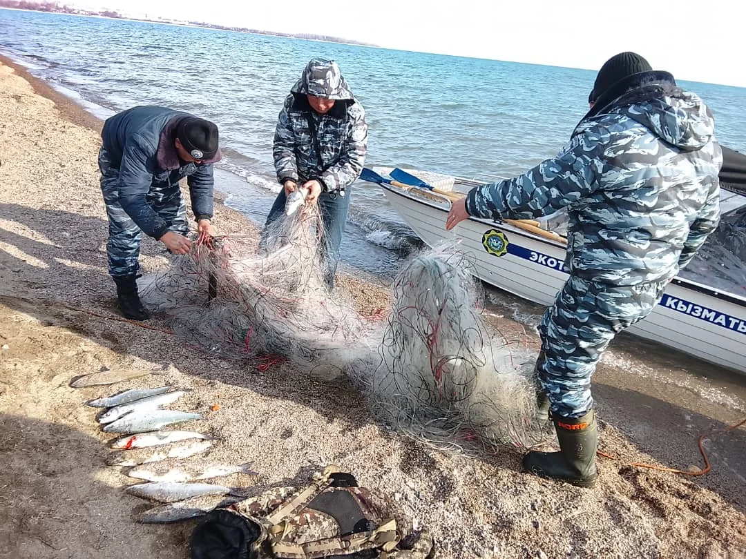 Тоң районунда мыйзамсыз торлор тазаланууда