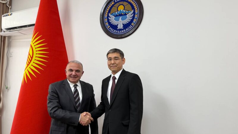 Жыл сайын 150 кыргызстандык Түркияда акысыз дарылана алат