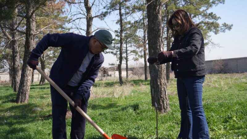 Транспорт министрлиги сейил бактарды уюштурат