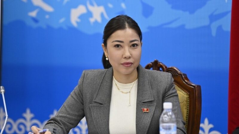 Аида Исатбек кызы эмгек министринин орун басары болуп дайындалды