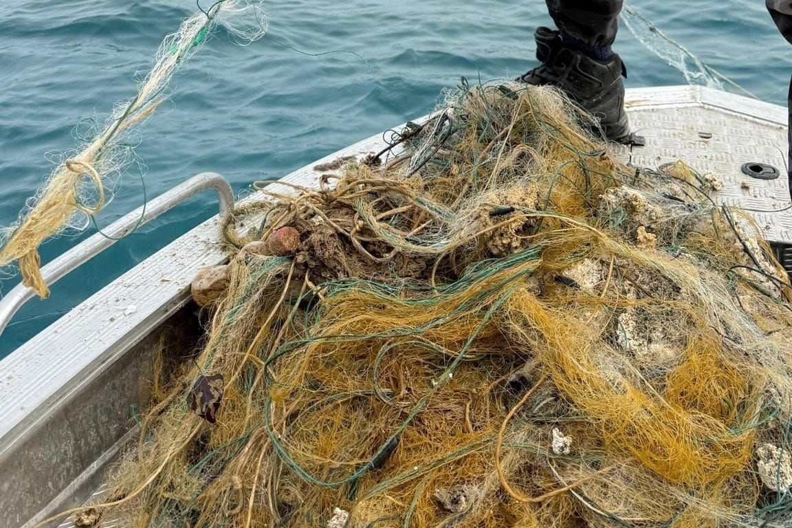 Кытайдан келген жүктөн тыюу салынган балык торлору табылды
