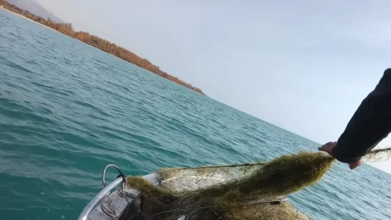 Бир жумада Ысык-Көлдөн 16 миң метрге жакын тор чыгарылды