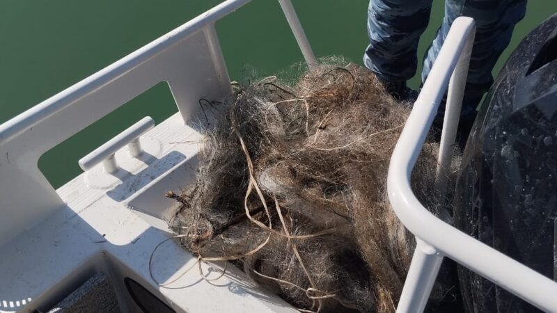 Жыл башынан бери Ысык-Көлдөн 9900 метр тор чыгарылды