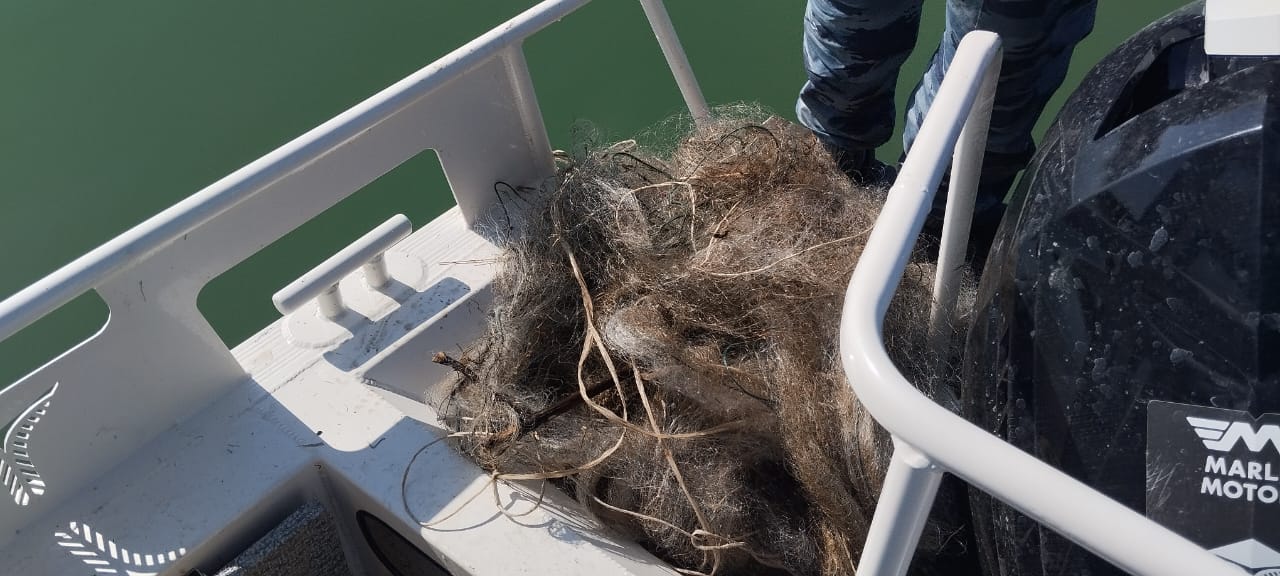 Жыл башынан бери Ысык-Көлдөн 9900 метр тор чыгарылды