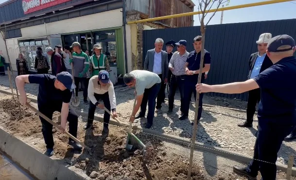 Ош шаарында миң  көчөт отургузулду