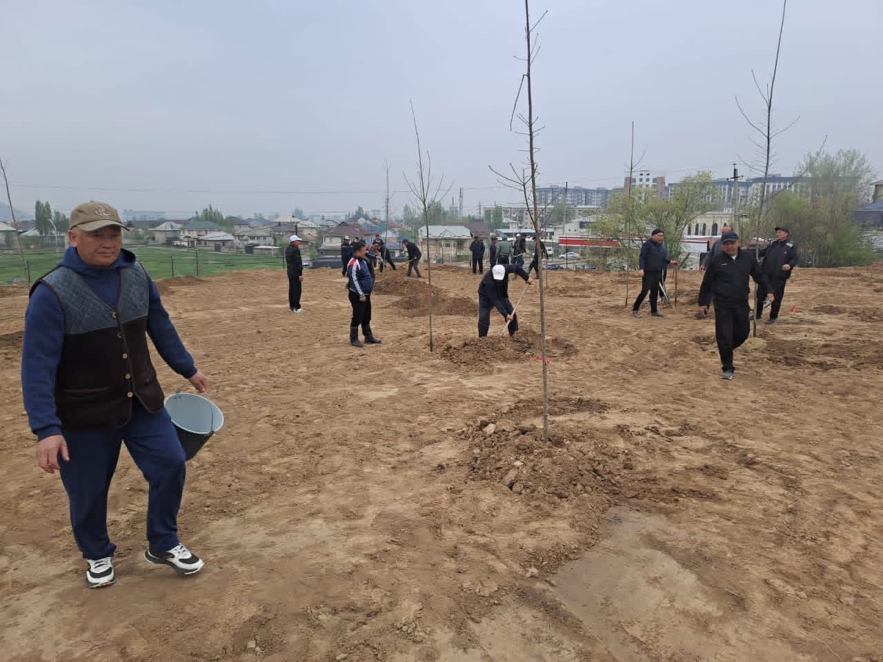 Ош шаарында өткөрүлгөн ишембиликте 7630 көчөт отургузулду