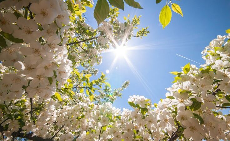 Дүйшөмбү — Кыялдарды жана максаттарды ишке ашырууга түрткү берген убакыт. Кутман таң!