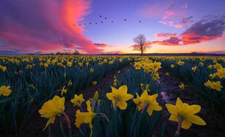 Ушул жаздын ушул күнү, ушул сааты эч качан кайталанбайт. Азыр изденип, азыр жаратман болуңуз. Кутман таң, окурман!