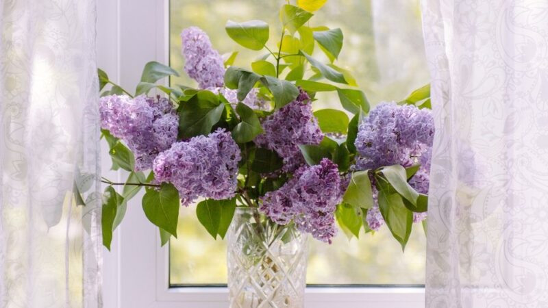 Эмгек кылсаң жашыңдан, дөөлөт кетпейт башыңдан. Кутман таң, замандашым!