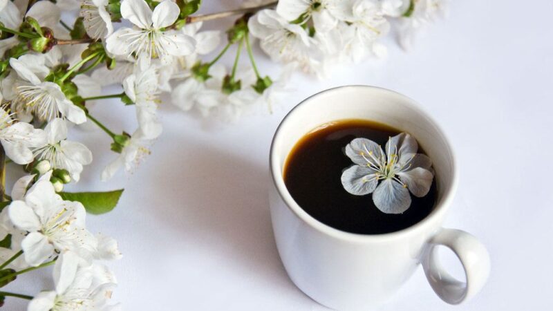 Дүйшөмбү — апта иш башы, Олжолуу атсын ар таңы… Кутман таң, окурман!