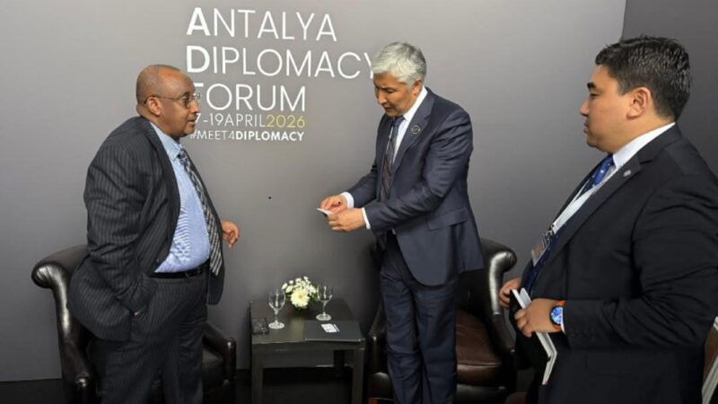 Азамат Кадыралиев чет өлкөлүк өнөктөштөр менен бир катар эки тараптуу жолугушууларды өткөрдү