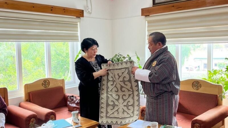 Кыргызстан жана Бутан глобалдык тоо күн тартибин илгерилетүүнү талкуулашты