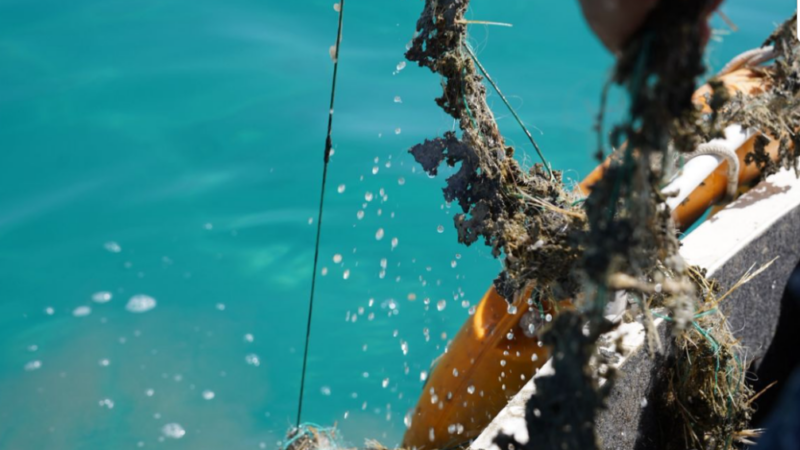 Көл түбүн көргөн көз…