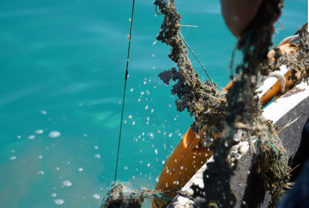 Көл түбүн көргөн көз…