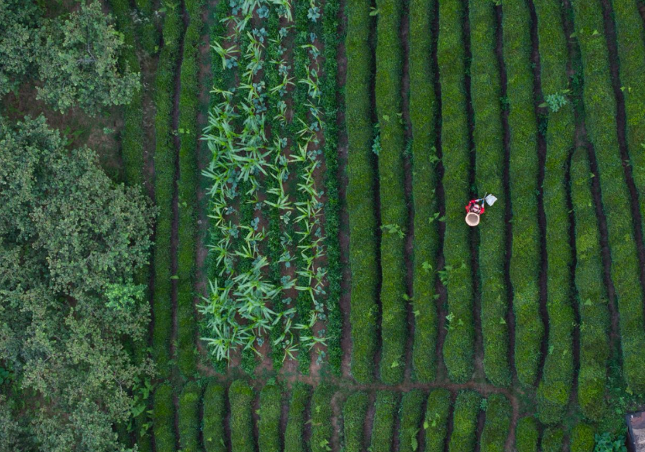 Түркиянын Качкар тоолору эл аралык иш-чаралар аркылуу дүйнөлүк деңгээлге чыгууда