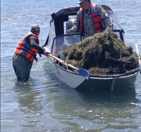 Ысык-Көлдө мыйзамсыз торлорду тазалоо иштери тынымсыз уланууда