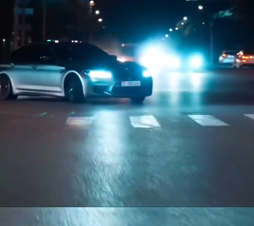 Унаасын чаң-ызгытып айдап, видеосун жарыялаган айдоочуга айып салынды