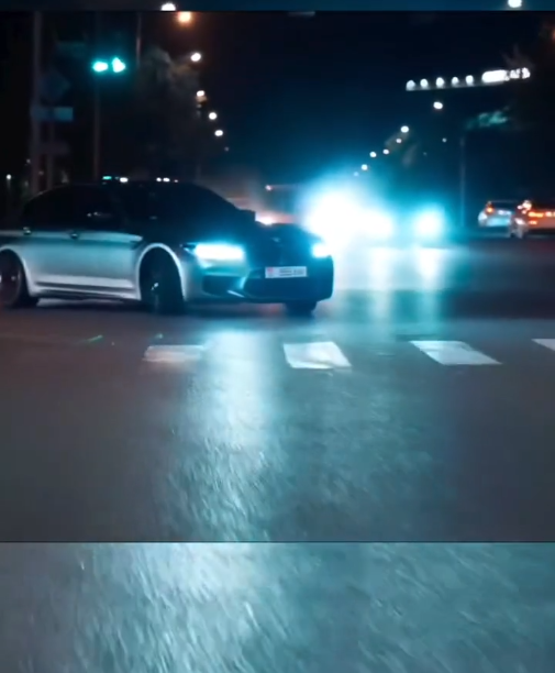 Унаасын чаң-ызгытып айдап, видеосун жарыялаган айдоочуга айып салынды