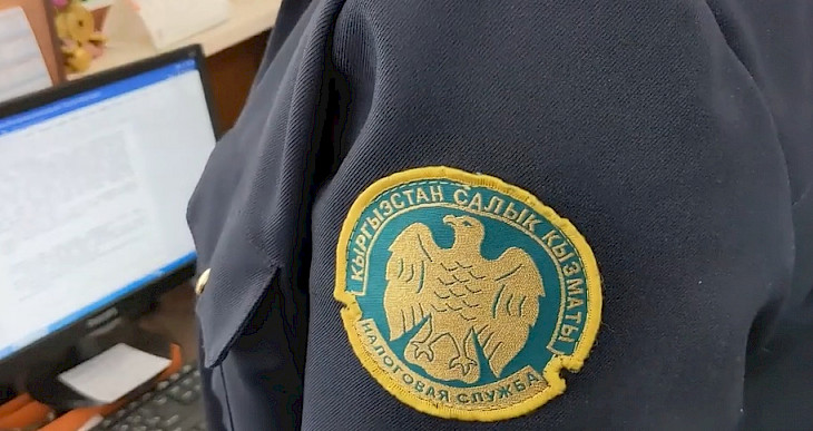 Эми салыкчылар видеокамера аркылуу көзөмөлдөй баштайт