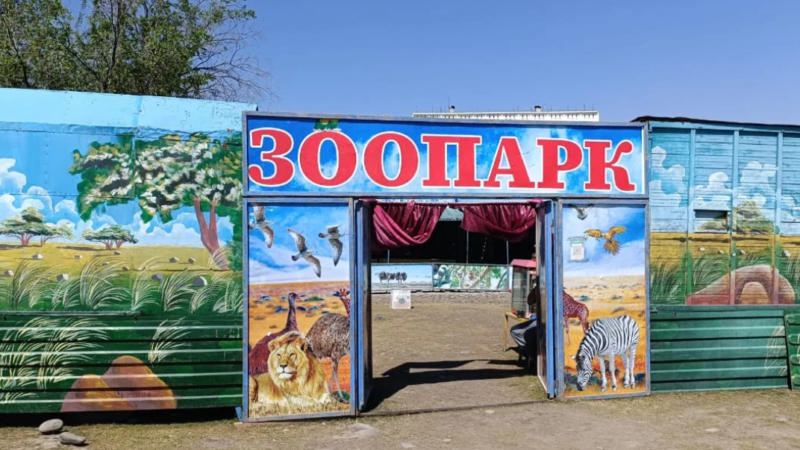 Токмокто мыйзамсыз көчмө зоопарк аныкталды