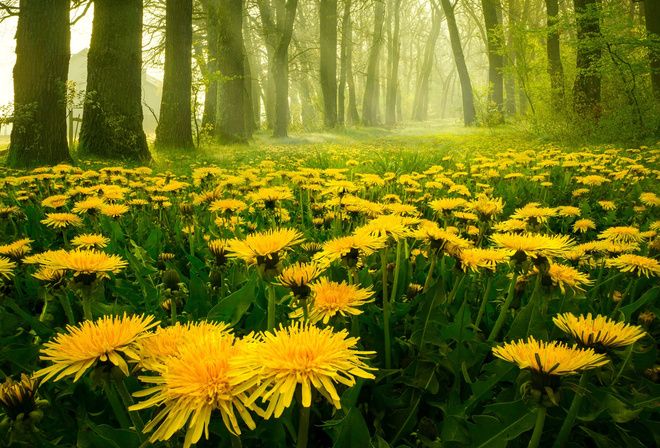 Эс алуу — бул убакытты текке кетирүү  эмес, энергия топтоо. Ишемби күнүңүздөр  жакшы өтсүн!