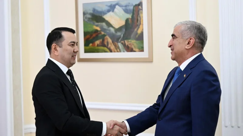 Кыргызстан менен Тажикстан парламенттер аралык кызматташтыгы бекемделет