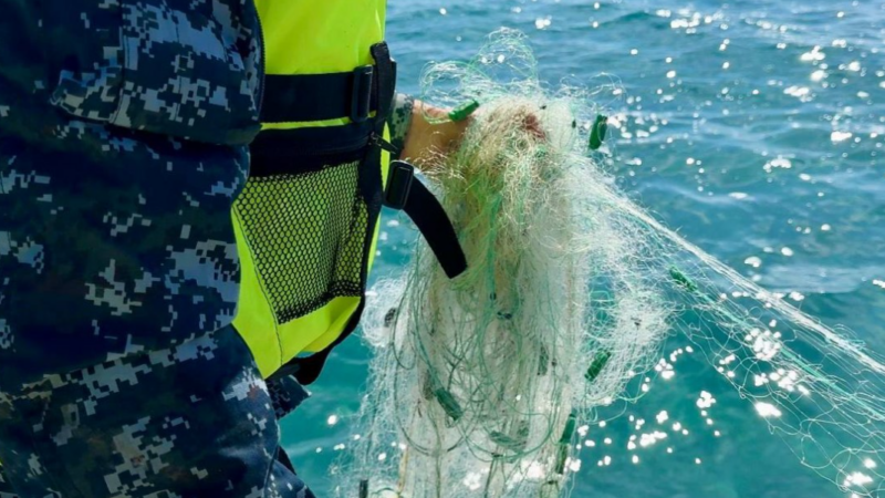 Ысык-Көл 13 миң метр мыйзамсыз тордон тазаланды (ВИДЕО)