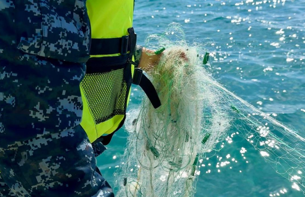 Ысык-Көл 13 миң метр мыйзамсыз тордон тазаланды (ВИДЕО)