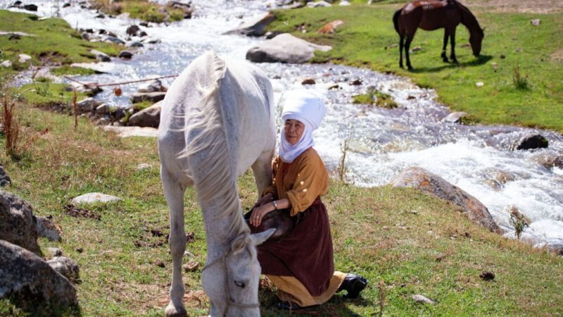 Өлкөдө кымыз өндүрүүгө бирдиктүү стандарт киргизүү пландалууда