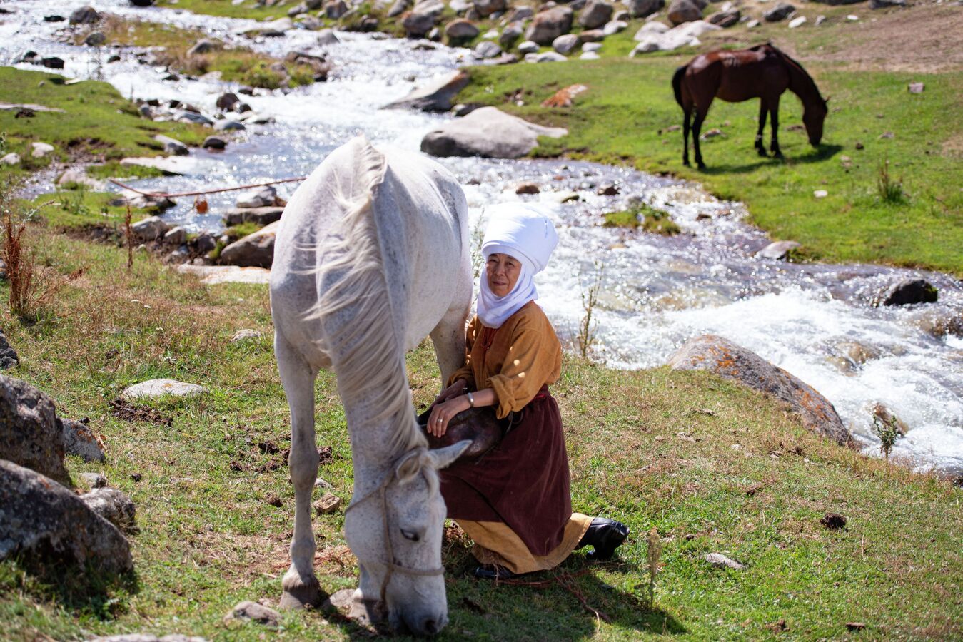 Өлкөдө кымыз өндүрүүгө бирдиктүү стандарт киргизүү пландалууда