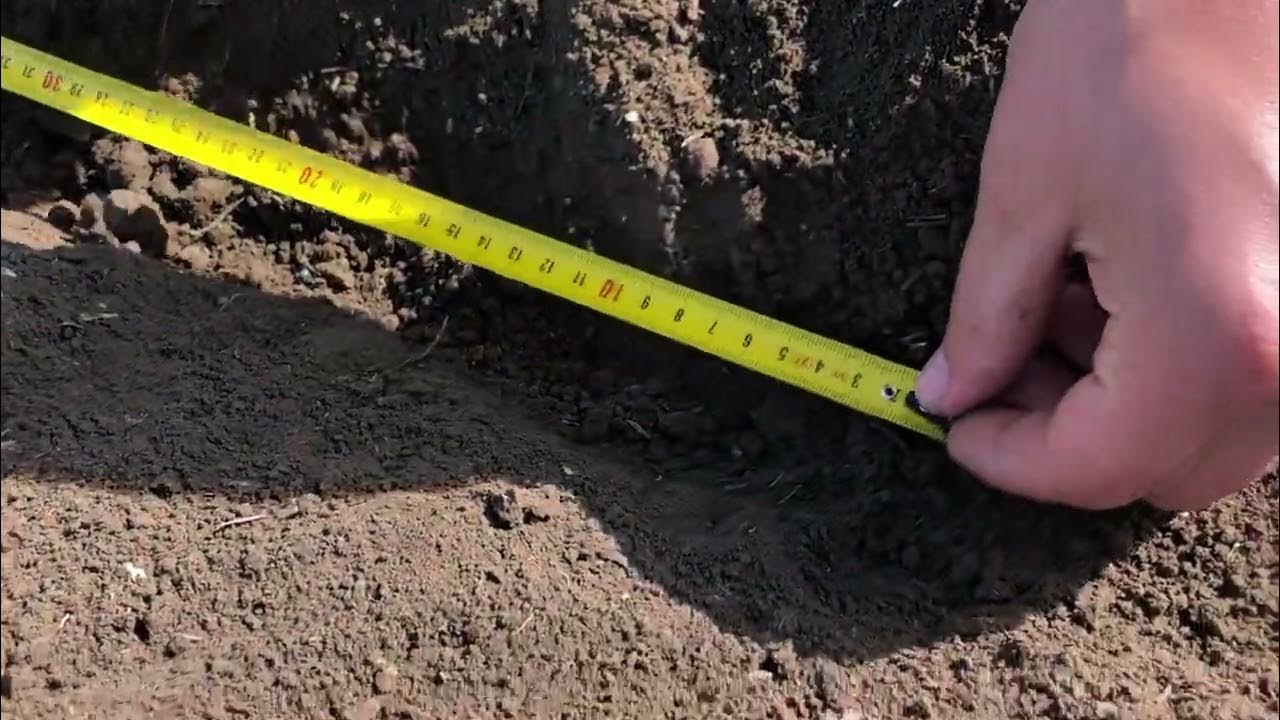 Сокулукта 45,8 млн сомдук жер мамлекетке кайтарылды