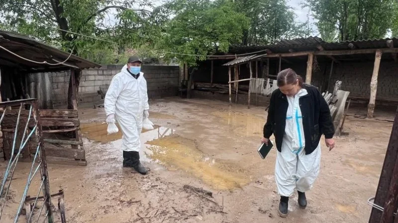 Алайда селден жабыркаган аймактарда дезинфекциялоо иштери жүрүүдө