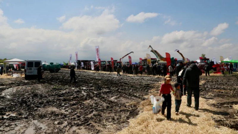 Жер айдап, кой кыркып жарышып…Чүйдө «Айдоо фест-2026» фестивалы өттү