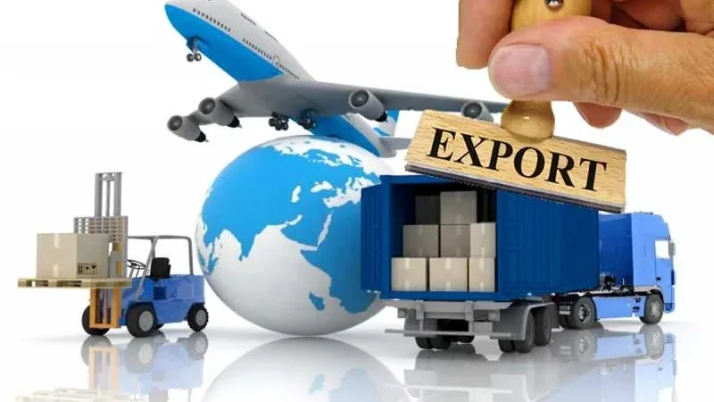 Кыргызстан айыл чарба продукциясын 80ден ашык өлкөгө экспорттоодо