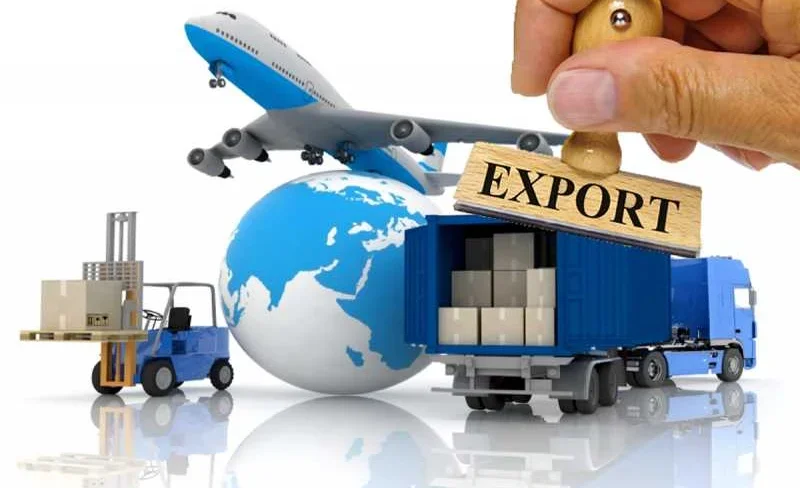 Кыргызстан айыл чарба продукциясын 80ден ашык өлкөгө экспорттоодо