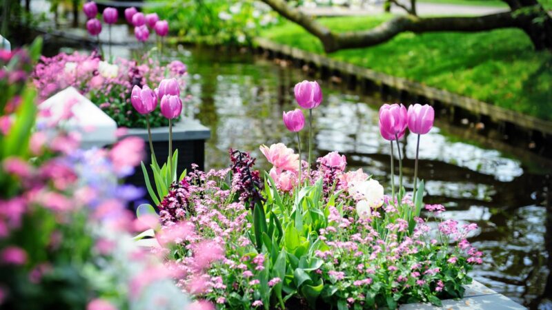 Кутман таң, замандашым! Иш күнүңүздөр ийгиликтүү улансын