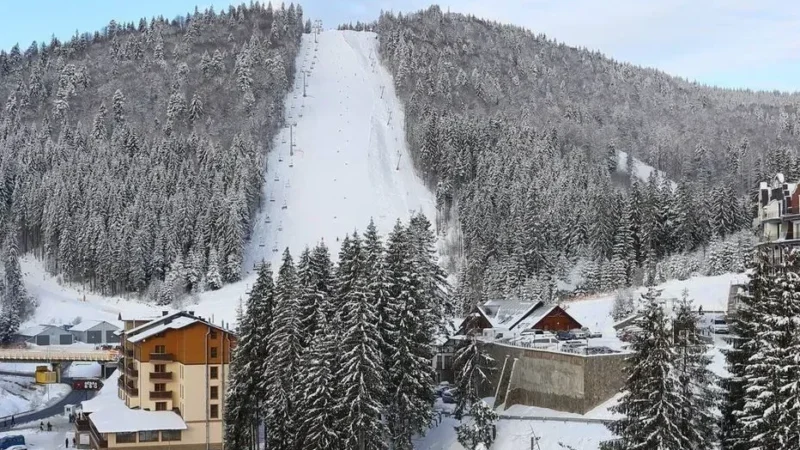 Ала-Тоо Резорттогу аукциондун экинчи күнүндө 5 жер тилкеси сатылды