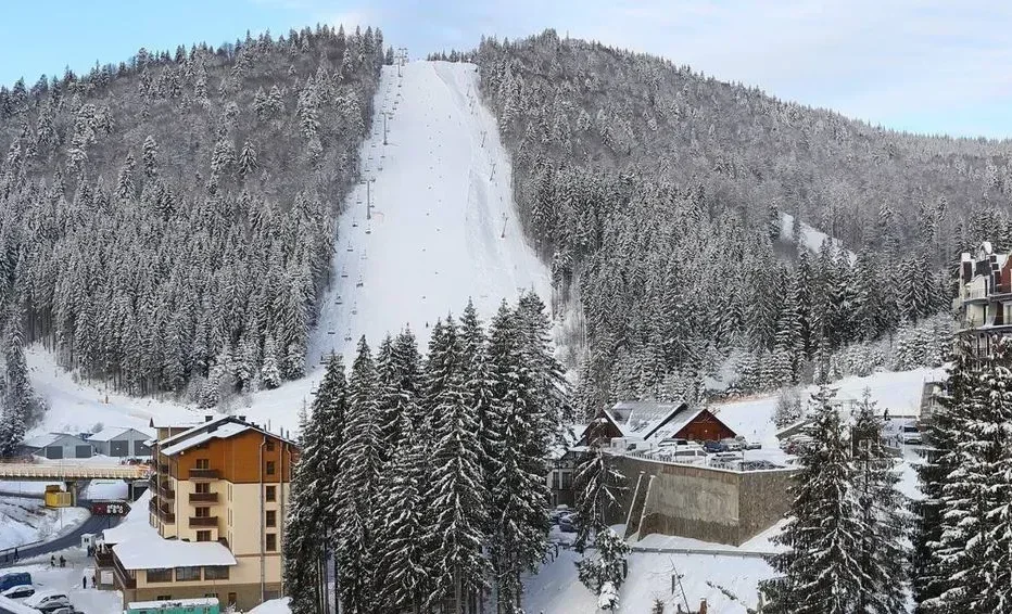 Ала-Тоо Резорттогу аукциондун экинчи күнүндө 5 жер тилкеси сатылды